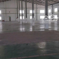 Cho Thuê Kho Xưởng Kcn 2000M2 Kim Quy Phường Phú Tân Tp Thủ Dầu Một Bình Dương Lh : 0908954129