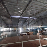 Cho Thuê Kho Xưởng 5000M2 Ở Tp Thuận An Bình Dương Lh : 0908954129