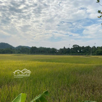 Bán Đất Tân Yên, Hồng Kỳ, Sóc Sơn. View Đẹp, Gần Sân Golf. Gần Nhiều Khu Nghỉ Dưỡng.