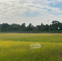 Bán Đất Tân Yên, Hồng Kỳ, Sóc Sơn. View Đẹp, Gần Sân Golf. Gần Nhiều Khu Nghỉ Dưỡng.