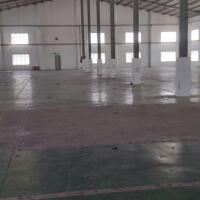 CHO THUÊ KHO XƯỞNG 5000m2 Ở TP THUẬN AN BÌNH DƯƠNG LH : 0908 954 129