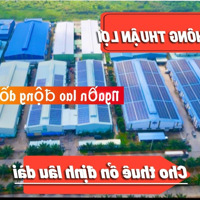 Bán Kho Xưởng Lô Góc Mặt Tiền Đường Tỉnh Lộ 823B Diện Tích 2201M Trong Khu Công Nghiệp Thái Hoà