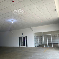 Cho Thuê Kho Xưởng 1230M2 Linh Trung, Phường Linh Trung, Quận Thủ Đức