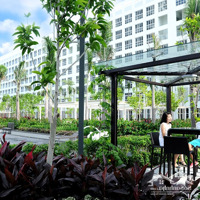 Cần Cho Thuê Nhanh Ch Happy Valley Pmh, Q7. 135M2, 3 Phòng Ngủ Chỉ 28 Triệu/Tháng, Liên Hệ: 0941282233. Mr Biên