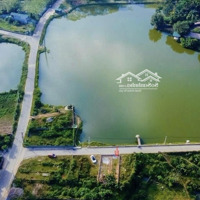 Chính Chủ Cần Bán Lô Đất 88,4M2 View Hồ Full Thổ Cư. Giá Nhỉnh 3Tỷ6 (Có Thương Lượng)