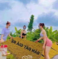 Đông La Hoài Đức, Cạnh Vành Đai 4, Đường Rộng Oto Vào Cửa, 31M2, 5 Tầng, Mới Cứng Giá Bán 3,6 Tỷ