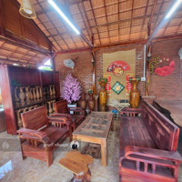 Siêu Phẩm Nghỉ Dưỡng, Homestay Nhà Gỗ View Sông Gần Ngay Biển Xã Bình Châu, Xuyên Mộc, Br-Vt, 33X39