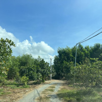 Bán 2000M2 Đất Xuân Tâm, Xuân Lộc, Đồng Nai. View Hồ Gia Măng. Có Điện, Có Dân, Cách Qlo 1A 1,5Km