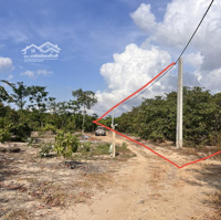 Bán 2000M2 Đất Xuân Tâm, Xuân Lộc, Đồng Nai. View Hồ Gia Măng. Có Điện, Có Dân, Cách Qlo 1A 1,5Km