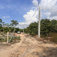 Bán 2000M2 Đất Xuân Tâm, Xuân Lộc, Đồng Nai. View Hồ Gia Măng. Có Điện, Có Dân, Cách Qlo 1A 1,5Km