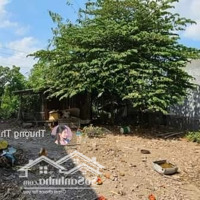 Bán Đất Kinh Doanhmặt Tiềnnguyễn Thị Ngâu, Thới Tam Thôn, Gần Coop Mart Hóc Môndiện Tích120M2/ 800 Triệu Shr