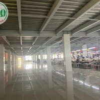 Cần Cho Thuê Nhà Xưởng Dtsd 10.000 M2 Tại Thị Xã Cai Lậy, Tiền Giang