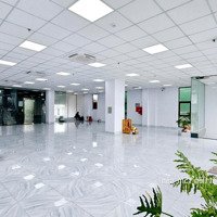 Cho Thuê Mặt Bằng Chính Chủ 190M2 Ql50, Phù Hợp Ngân Hàng, Siêu Thị, Showroom