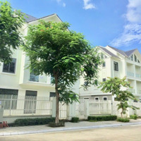 Bán Nhà Biệt Thự Căn Góc Tại Khu Đô Thị Geleximco - Lê Trọng Tấn 300M2, View Đẹp Giá Dưới 200 Triệu/M2