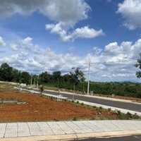 Bán Đất Nền Kdc An Phước 100M2 Cổng Sân Bay Long Thành Giá Siêu Ngộp 1Tỷ2, Ngay Trục Đường Ql51