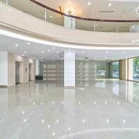 Cho thuê siêu phẩm nhà Hàm Nghi, 180m2, 8 tầng, thông sàn, đẹp, làm văn phòng, thẩm mỹ viện