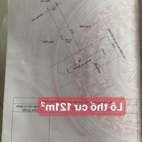 1 Cặp đất ngang 14m mặt tiền đường lớn An Sơn 38, Có một vườn cây ăn trái đa dạng