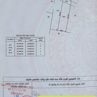 Bán Đất 1/ Hà Duy Phiên, Bình Mỹ, Củ Chidiện Tích180.7 M2 Pháp Lý Rõ Ràng