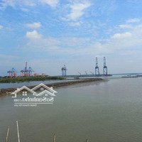 Bán Đất Kcn Phú Mỹ 2 Mở Rộng - Brvt. Bán, Chuyển Nhượng 3.14Ha Đất Cho Ngành Dịch Vụ Logistics