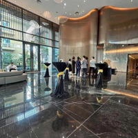 C Diện Tích: Mở Bán Chung Cư The Nelson Private Residences - Hd Mon 29 Láng Hạ.