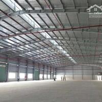 Nhà xưởng cho thuê diện tích đa dạng 1000m2,2000m2,3000m2....3hecta KCN Vsip mặt tiền đường 5 PCCC đầy đủ