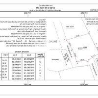 Bán Gấp 1 Sào (2Sổ) Tại Thị Trấn Đất Đỏ, Bà Rịa Giá Chỉ 990 Triệu Hiện Đang Trồng Dừa Liên Hệ: 0933366606