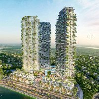 Bán Gấp Căn Hộ 1Pn+1 Tại Sol Forest Kđt Ecopark, Giá Bán 2,5 Tỷ Vnd, Diện Tích 45M2