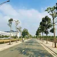 Tôi Chính Chủ Cần Bán Lk17 View Đảo Vua ( Sổ Đỏ Chính Chủ ) Tại Danko City