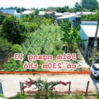 Chủ Hạ Giá Gấp Mảnh Vườn Tâm Huyết 561M2 Ngang 13M Sẵn 230M2 Thổ Cư