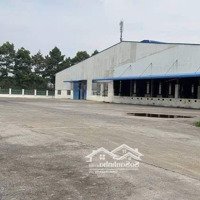 Cho Thuê Xưởng 16000M2 Trong Kcn Nhơn Trạch Đồng Nai