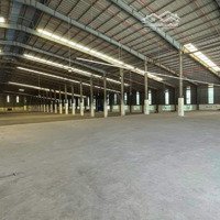 Cho Thuê Xưởng 16000M2 Trong Kcn Nhơn Trạch Đồng Nai