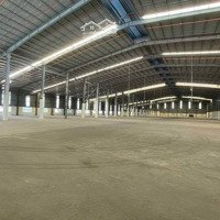 Cho Thuê Xưởng 16000M2 Trong Kcn Nhơn Trạch Đồng Nai