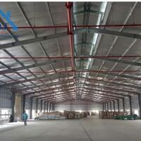 Cho Thuê Nhà Xưởng 30000m2 mới 100% Bình Lộc  Long Khánh Chỉ 3,5 usd /1m2