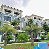 Hân Hạnh Giới Thiệu Lô Đất Độc Quyền Tại Dự Án The Empire - Vinhomes Ocean Park 2