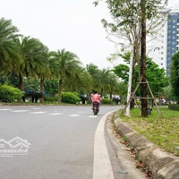 Cho Thuê Nhà Liền Kề Tại Khu Đô Thị Thanh Hà Mường Thanh, 8 Triệu Vnd, 100M2