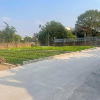 Cực Phẩm Cho Các Nhà Đầu Tư! 100M2 Tại Đông Tảo, Khoái Châu, Hưng Yên