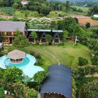 Bán Homestay 2600M2, Đất Ở 1200M2 Đông Xuân. Dã Xây Dựng Bài Bản Chỉ Việc Ở Và Khai Thách Dòng Tiền