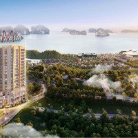 Misaki Tower - Trang Chủ Trực Tiếp Chủ Đầu Tư