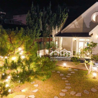 Chiếc Villa Sân Vườn Với Căn Nhà Trệt Đậm Chất Đà Lạt Cho Khách Thích Nghỉ Dưỡng