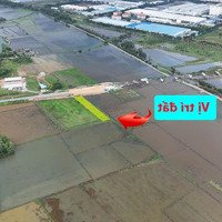 1.100 M2 Đất Thổ Cư Sát Bên Kcn Đức Hòa, Long An Giá Rẻ Nhất Vùng