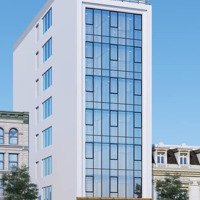 Nhà Thật! Mặt Phố An Trạch 120M2, Kinh Doanh Sầm Uất, Vỉa Hè Đá Bóng, Xây Building