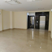 Chính Chủ Cho Thuê Nhà Mp Hồ Tùng Mậu 80M2 X2Tầngmặt Tiền8M Giá Bán 48 Triệu Kd Mọi Mô Hình Free Setup 1 Tháng