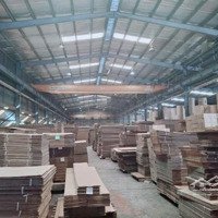 Xưởng Tân Uyên, 4000M2 Đất, Xưởng 2000M2, Giá Bán 60 Triệu/Tháng