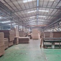 Xưởng Tân Uyên, 4000M2 Đất, Xưởng 2000M2, Giá Bán 60 Triệu/Tháng