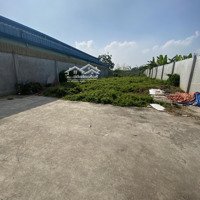 Cho Thuê Kho Giá Rẻ Đường Container 1000M2 Giá 25 Triệu/Th