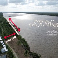 Mặt Tiền Sông Mekong, Chiều Dài Hơn 50M. 2,300M2 Sẵn 100M Thổ Cư Giá Rẻ Chỉ 1Tỉ290