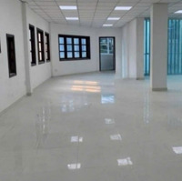 Bán Gấpmặt Tiền12M, Hoa Lan, P2, Pn, Chỉ 24 Tỷ, 70 M2, 5 Tầng,