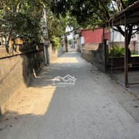 Bán Mảnh Đất Trục Chính Thôn Tình Lam,Diện Tích62M2,Mặt Tiền4.7M, Đường Oto Tải, An Sinh Đỉnh. Nhỉnh 3Ty4
