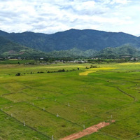 Bán 2.000M2 View Cánh Đồng Đẹp Gần Đường Nhựa Hl62 Xã Diên Tân, Diên Khánh Giá Chỉ 750K/M2