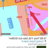 Mặt Tiền Tam Đa, Phường Trường Thạnh, Quận 9, 5000M2, Giá 10 Triệu/M2